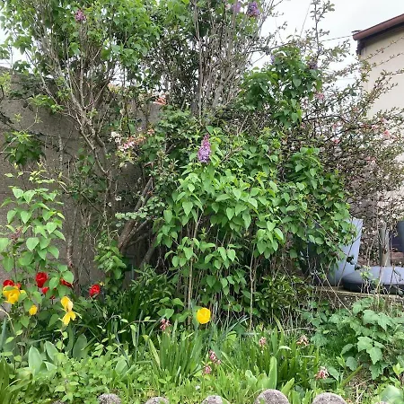 De La Chapelle, Maison 6 Pers Avec Grand Jardin Clos Expo Sud בית נופש דייפ