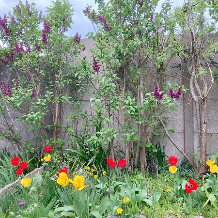 De La Chapelle, Maison 6 Pers Avec Grand Jardin Clos Expo Sud בית נופש דייפ